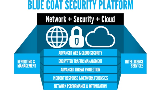 Blue Coat plataforma seguridad